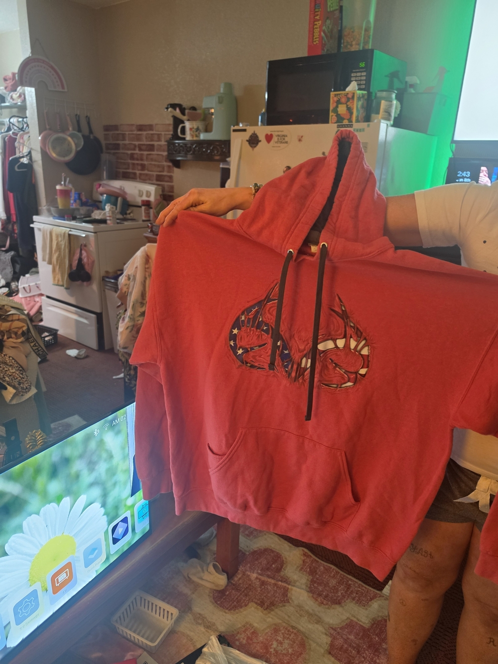 Red Graphic Pullover Hoodie with Center Emblem